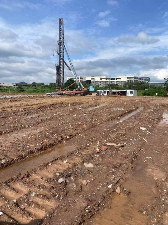 new plant of xulong spring on building